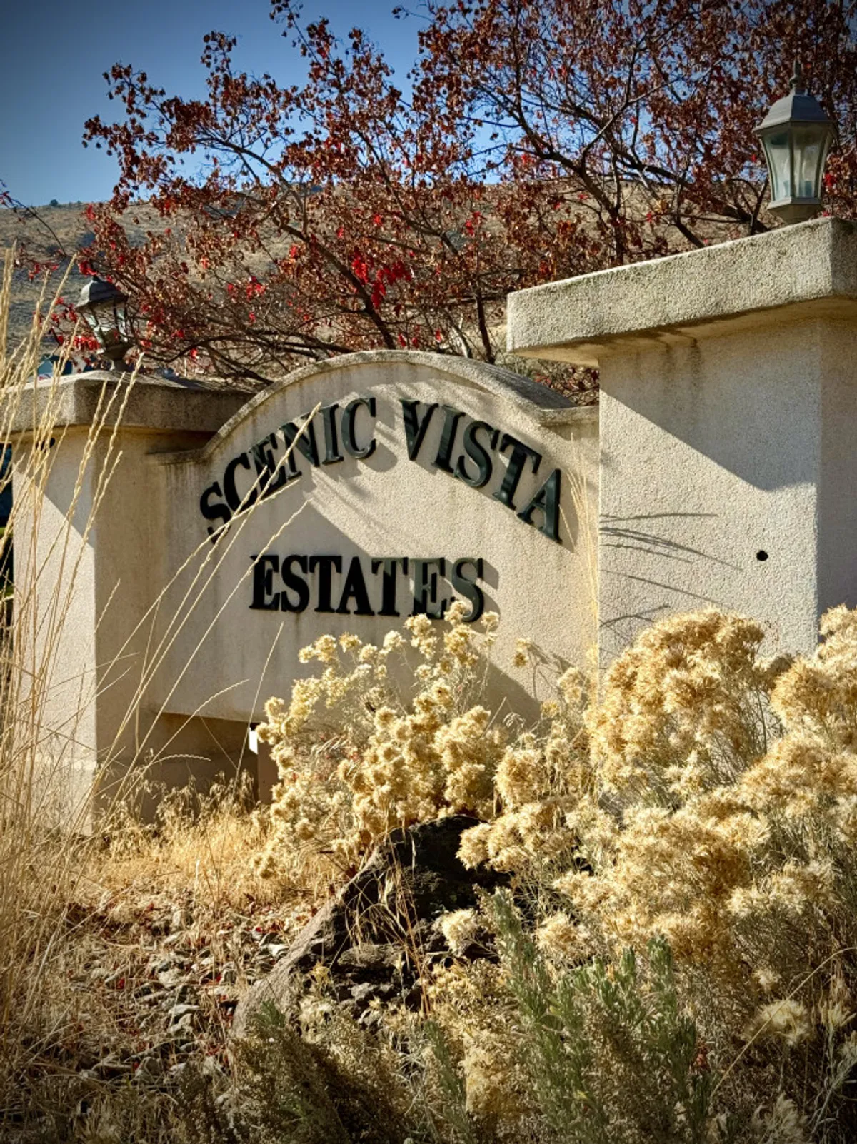 A property sign reading 'SCENIC VISTA ESTATES' stands amidst lush foliage and lampposts, setting the scene for an exclusive and welcoming destination. The environment is peaceful and hints at community and scenic beauty.